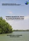 Primera Reunion de expertos en manglares 6 7 diciembre 2016