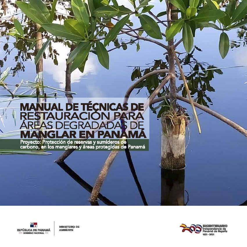 tecnicasrestauracion